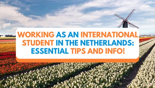 Working as an International Student in the Netherlands: Essential Tips and Info! (1)