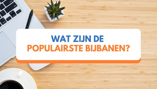 Wat zijn de populairste bijbanen?